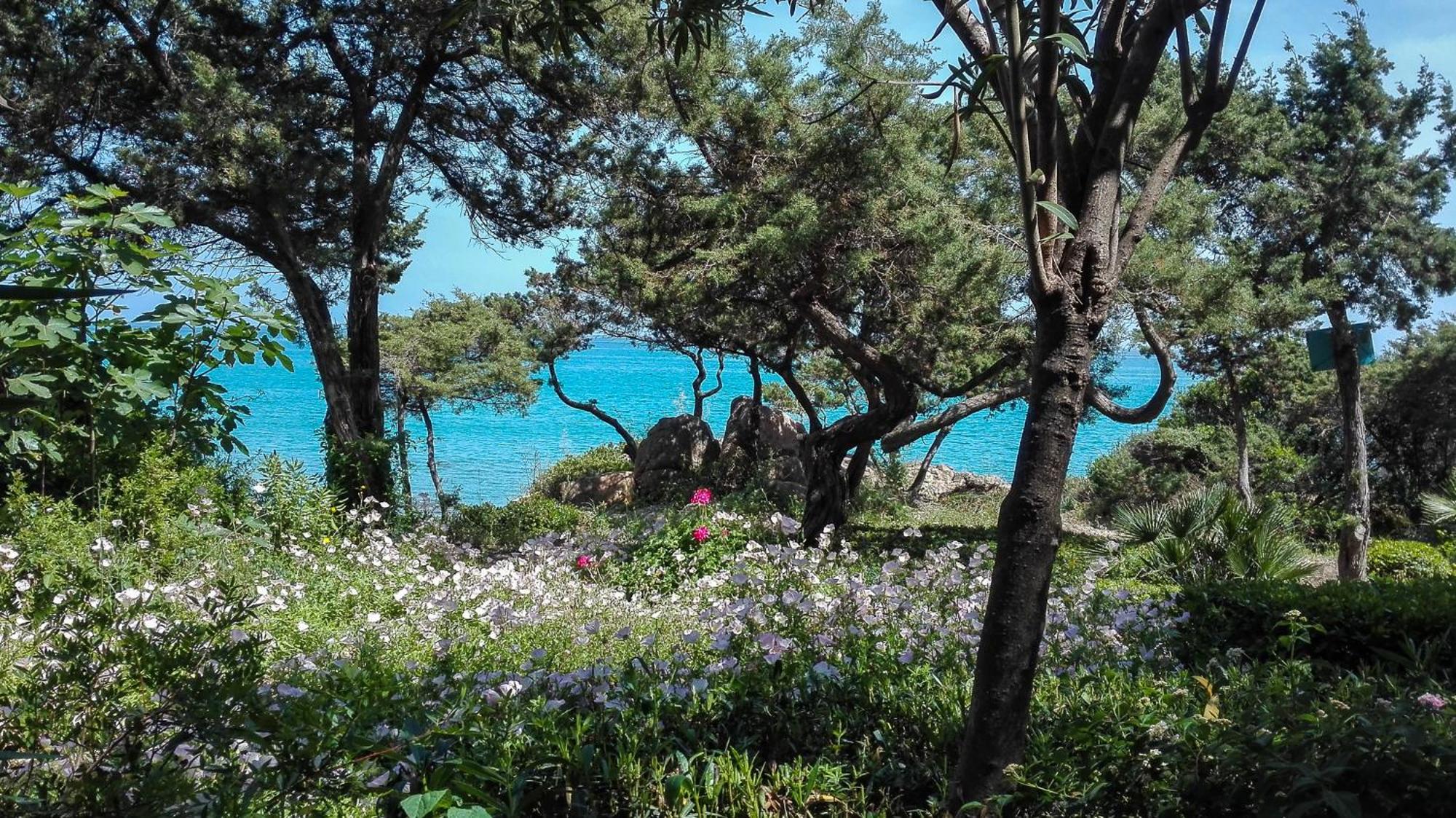 Frühstückspension Giglio Di Mare *